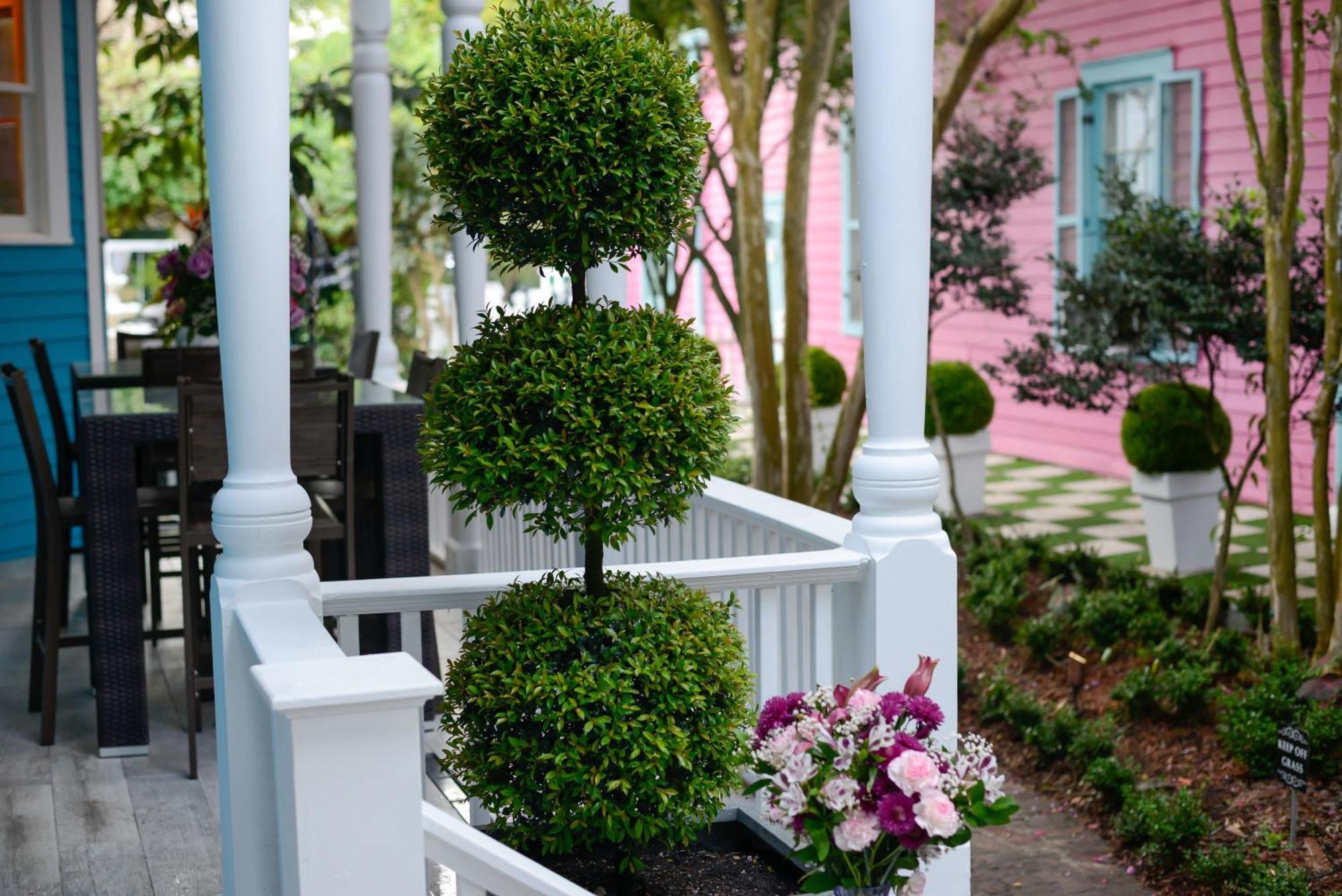 4 Bedroom - Sleeps 8! Celebrity Villa Next To Frenchman St New Orleans Ngoại thất bức ảnh